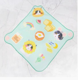 Cos'è l'asciugamano magico?